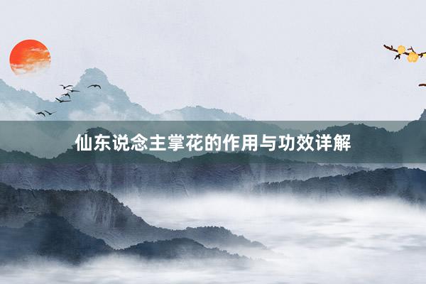 仙东说念主掌花的作用与功效详解